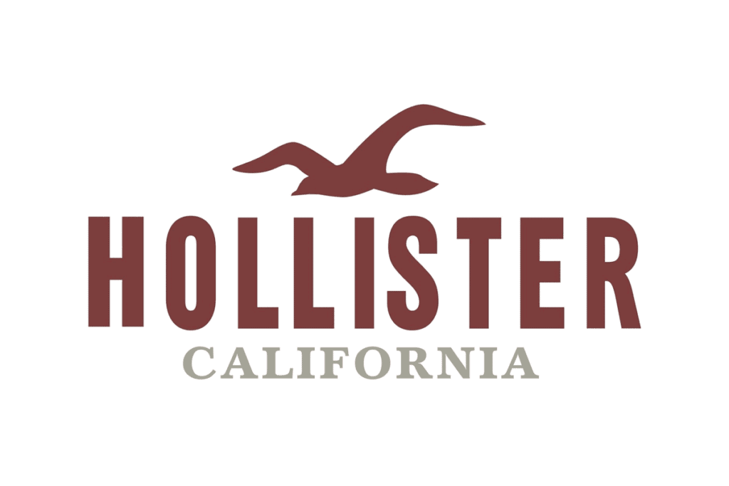 Hollister 時尚l(wèi)ogo.png